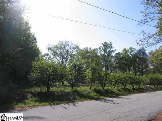 Old Ansel School Road Greer, SC 29651 - Photo 1 of 1 Gallery Image 1
