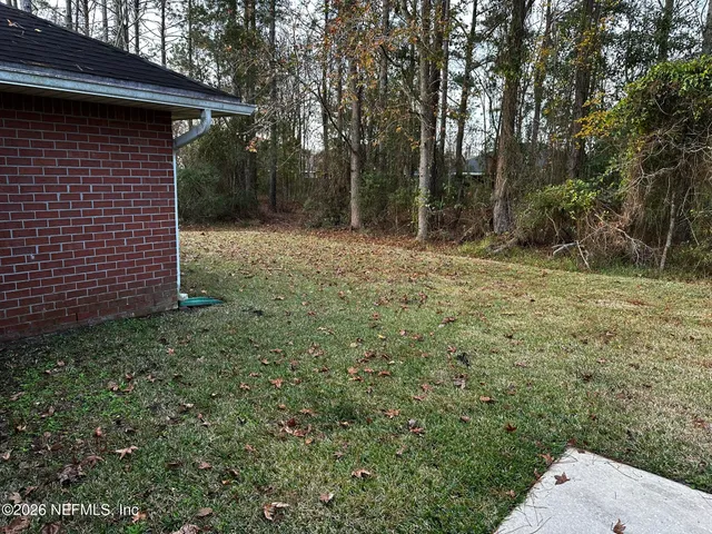 a view of a backyard with large trees