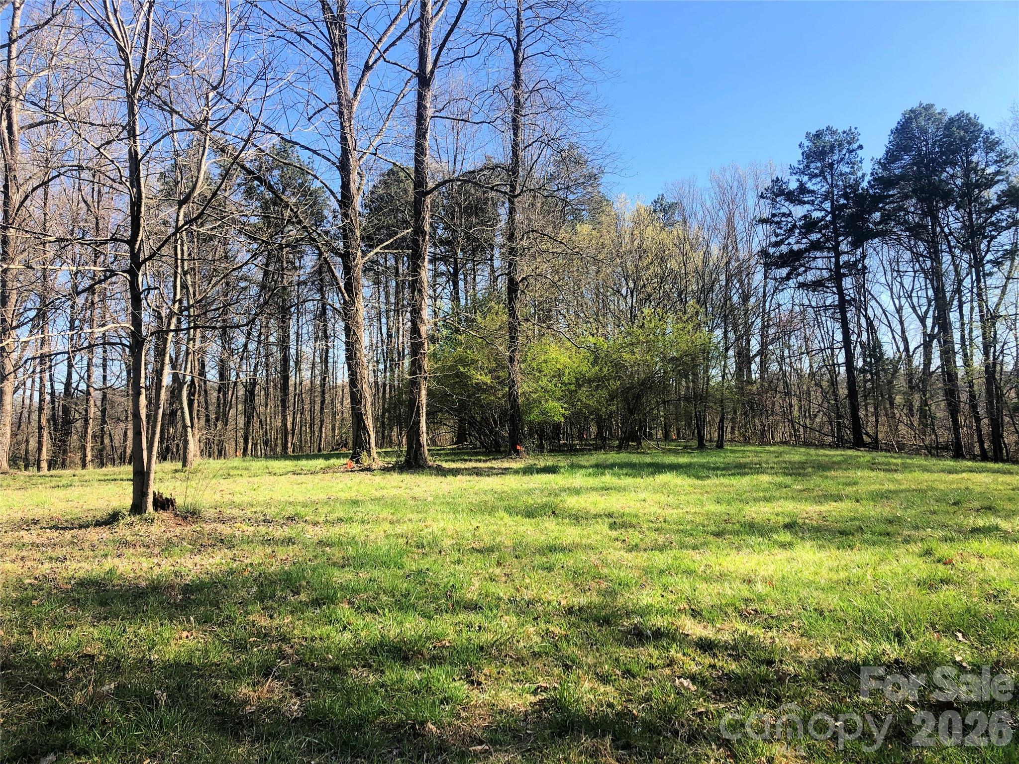 0 River Road Tryon, NC 28782 - Photo 30 of 30