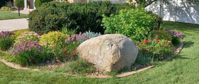 9130 Hidden Meadow Road Woodbury, MN 55125 - Photo 5 of 74