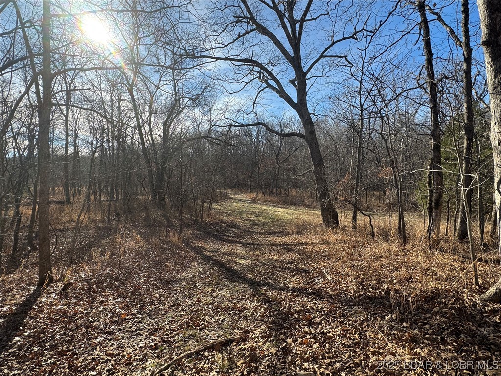 82-acres State Road North Climax Springs, MO 65324 - Photo 46 of 68