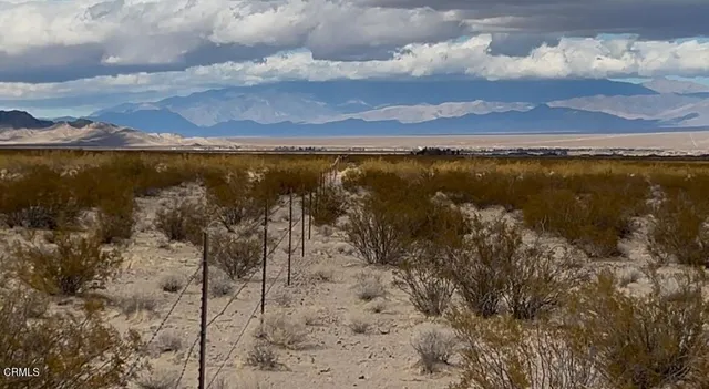 a view of a dry yard with wooden fence