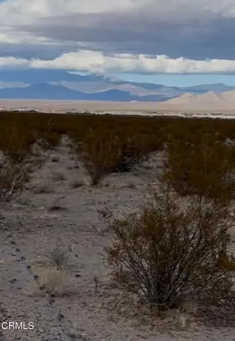 a view of a dry yard with wooden fence
