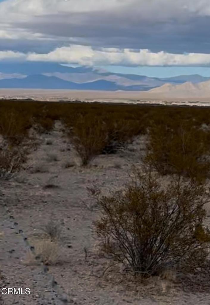 26 Cheyene Baker, CA 92309 - Photo 24 of 38