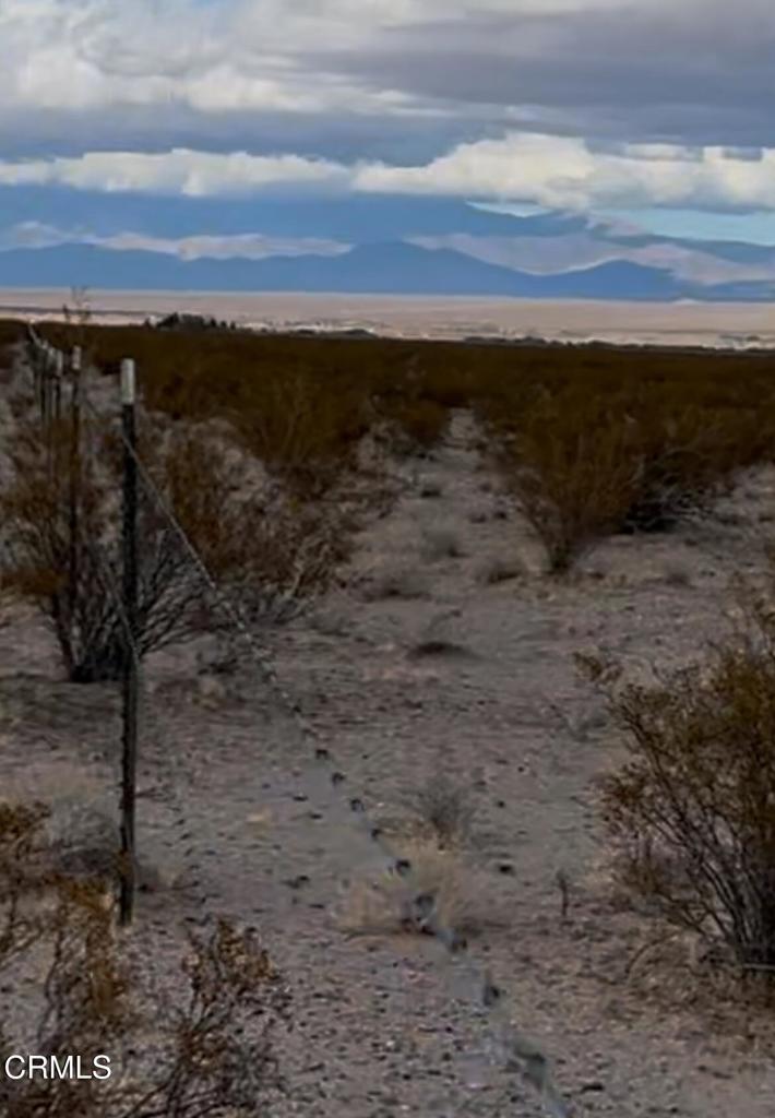 26 Cheyene Baker, CA 92309 - Photo 25 of 38 a view of a dry yard with trees