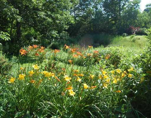 67 Union Road Appleton, ME 04862 - Photo 19 of 19 Yard/Garden.