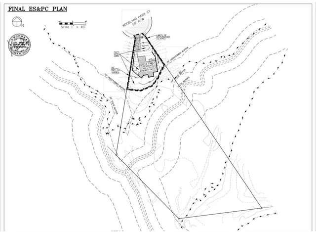 a picture of white wall with a close up of a tree