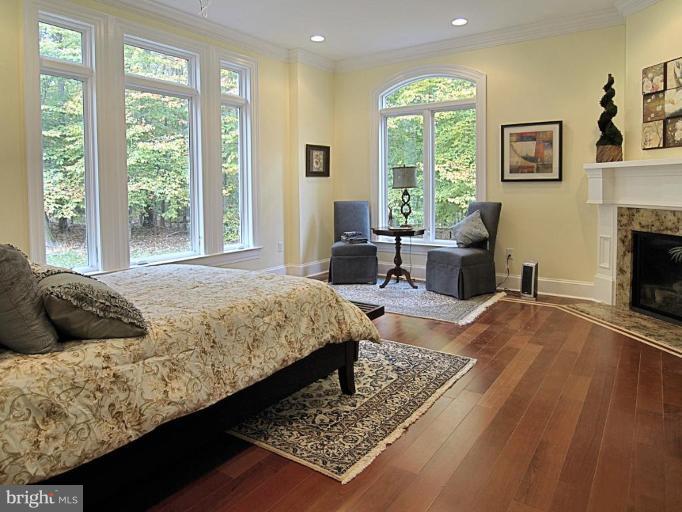 433 River Bend Road Great Falls, VA 22066 - Photo 13 of 30 Main Level Master Suite