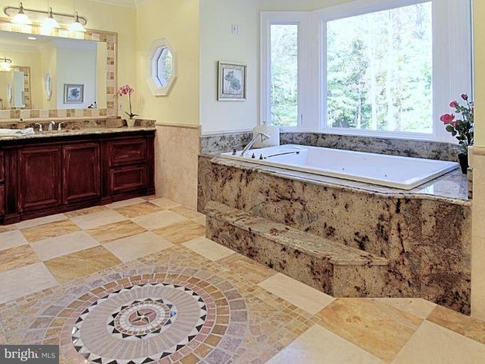 433 River Bend Road Great Falls, VA 22066 - Photo 17 of 30 Owners Suite Salon Bath