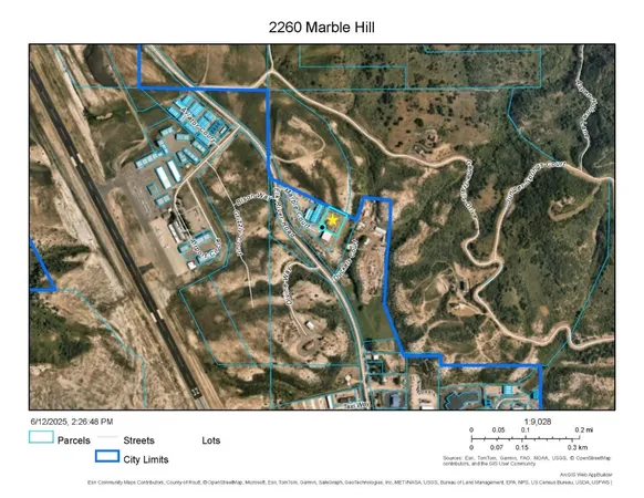 a black and white photo of a tree