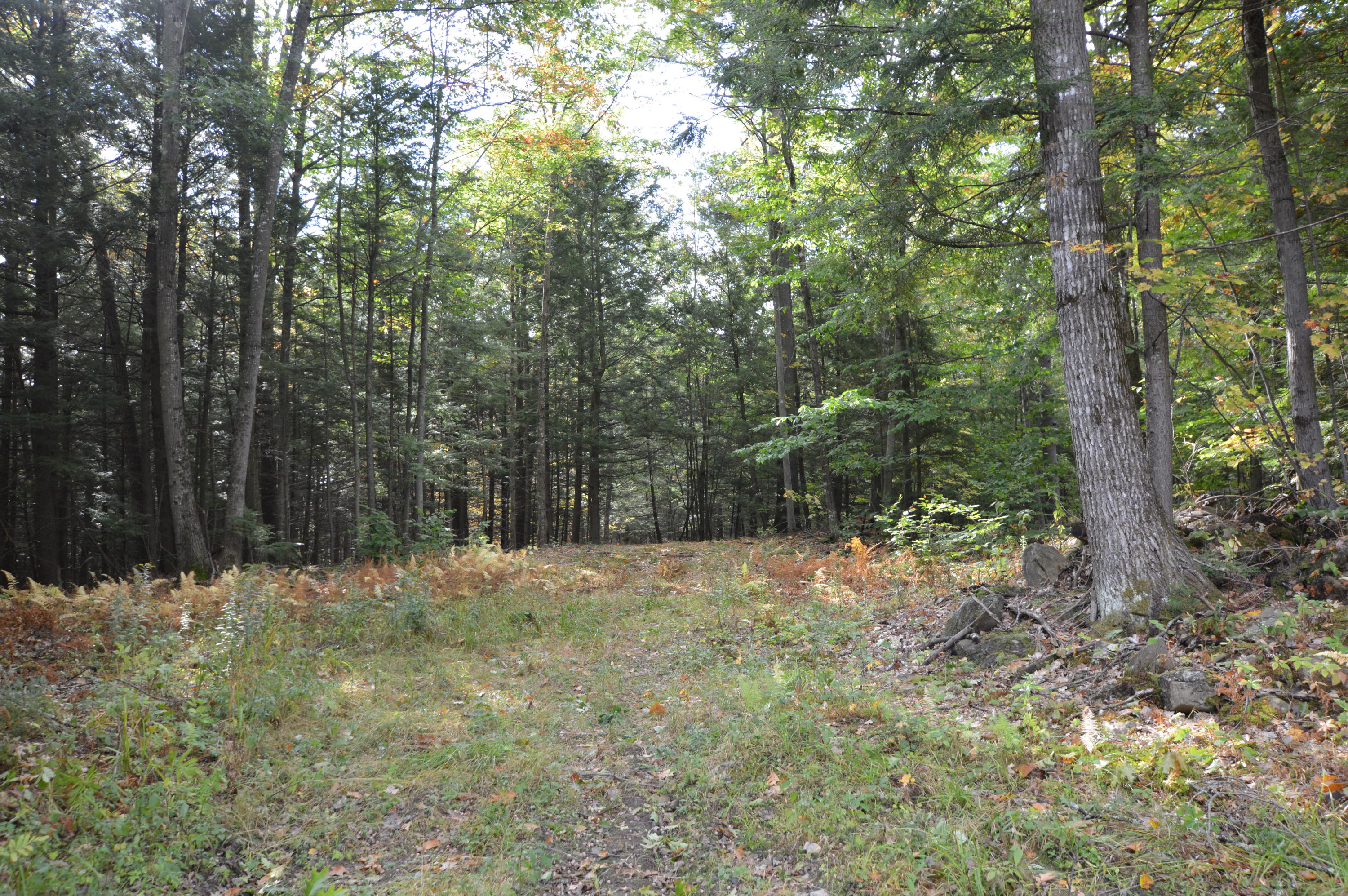 0 Soper Road Winthrop, ME 04364 - Photo 1 of 31 DSC_1433