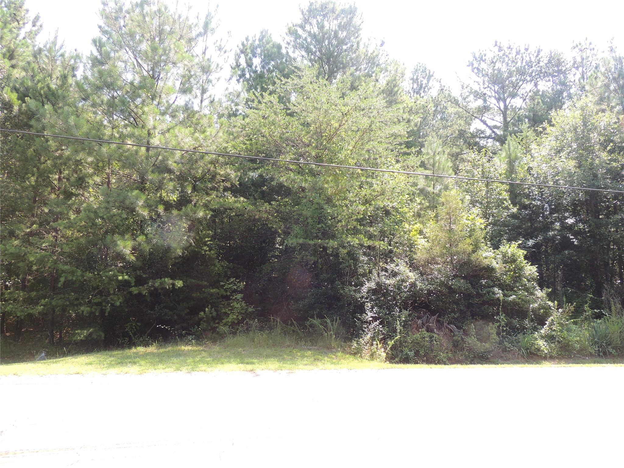 941 Highway 108 Rutherfordton, NC 28139 - Photo 8 of 10