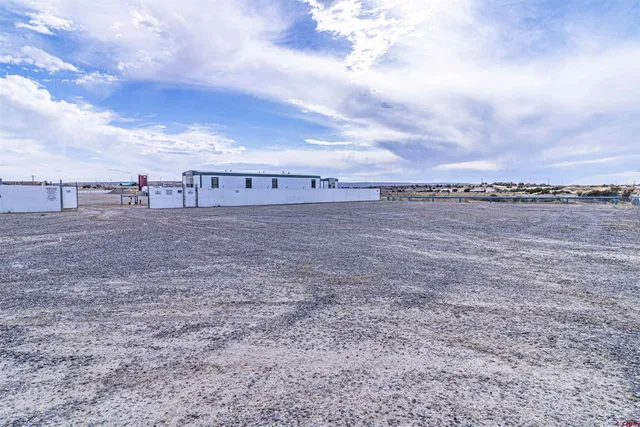 a view of a dry yard with large trees