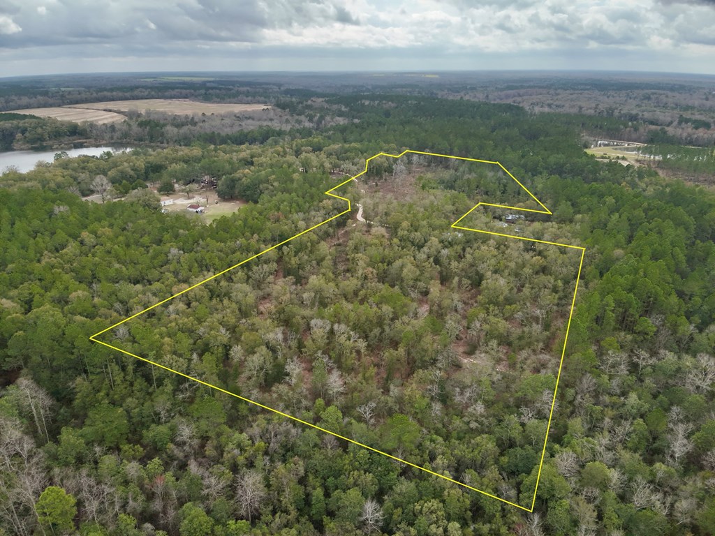 16.8-ac Mound Road Black, AL 36314 - Photo 16 of 17