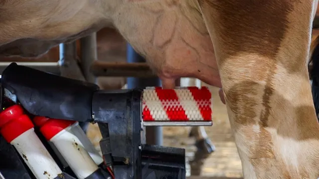 $21,900,000 | 15453 East Monte Vista Avenue, Denair, CA 95316