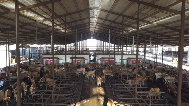 $21,900,000 | 15453 East Monte Vista Avenue, Denair, CA 95316