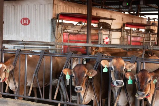 $21,900,000 | 15453 East Monte Vista Avenue, Denair, CA 95316