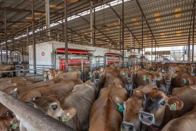 $21,900,000 | 15453 East Monte Vista Avenue, Denair, CA 95316