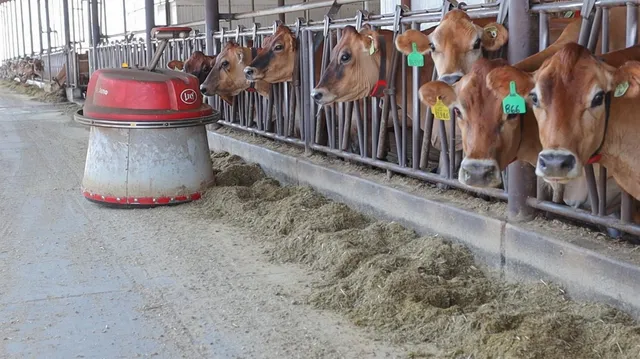 $21,900,000 | 15453 East Monte Vista Avenue, Denair, CA 95316