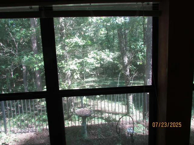 a view of field with trees in the background