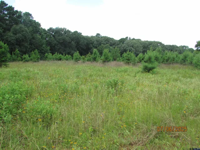 $545,000 | 10878 Farm To Market 19, Frankston, TX 75763