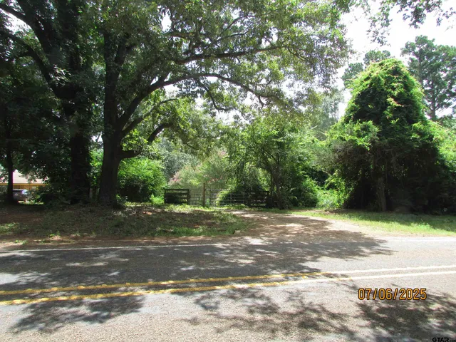 a view of a yard with a tree