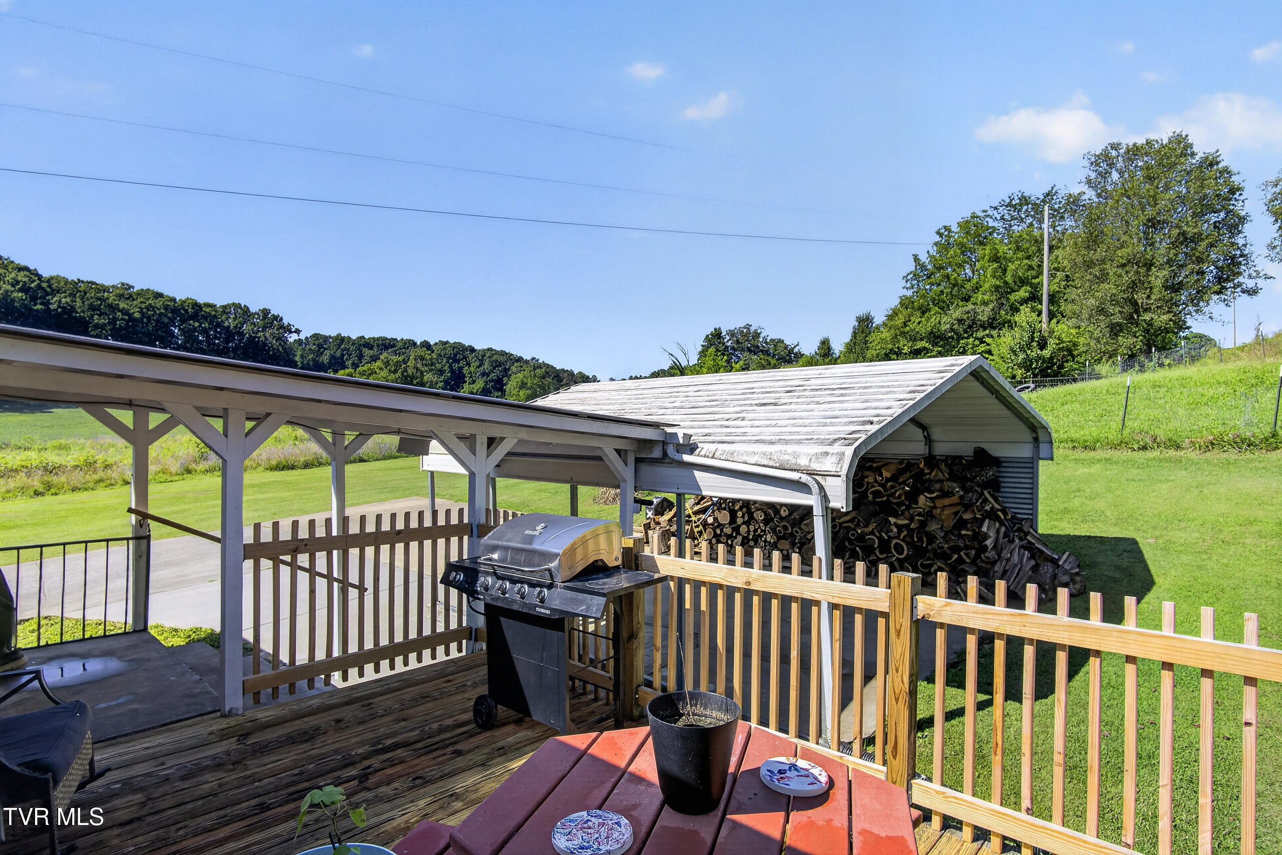 6196 Poplar Springs Road Greeneville, TN 37743 - Photo 56 of 59 DSC00723