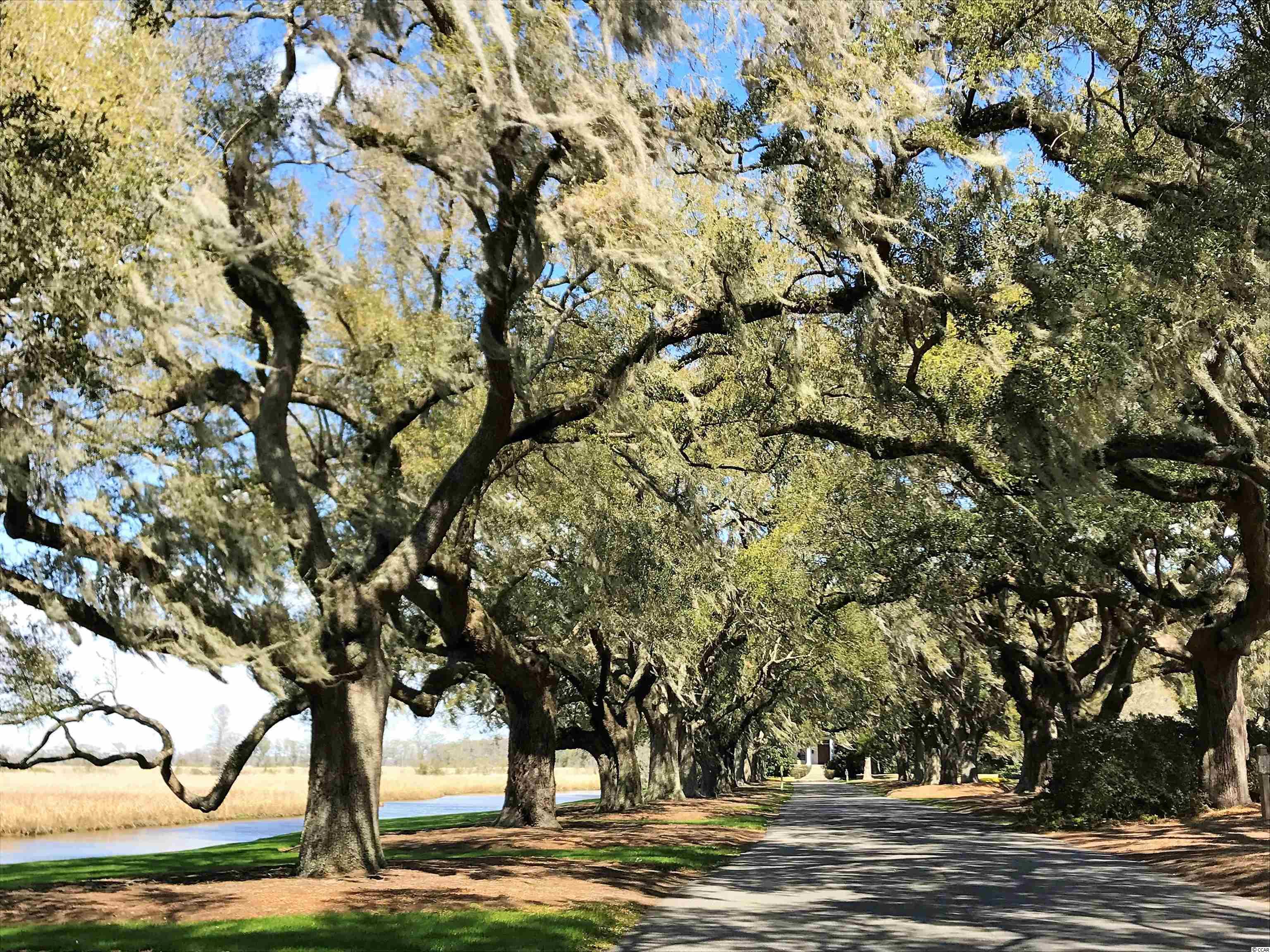2512 Old Charleston Road Georgetown, SC 29440 - Photo 19 of 25