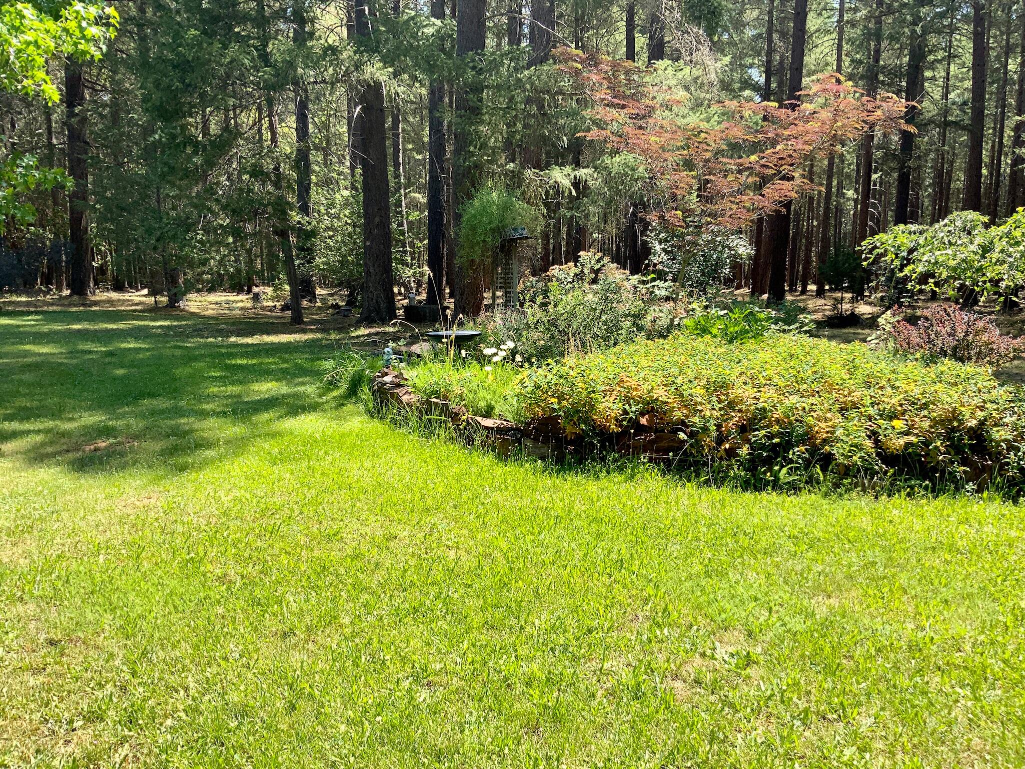 15981 Water Gap Road Williams, OR 97544 - Photo 4 of 36 Pics