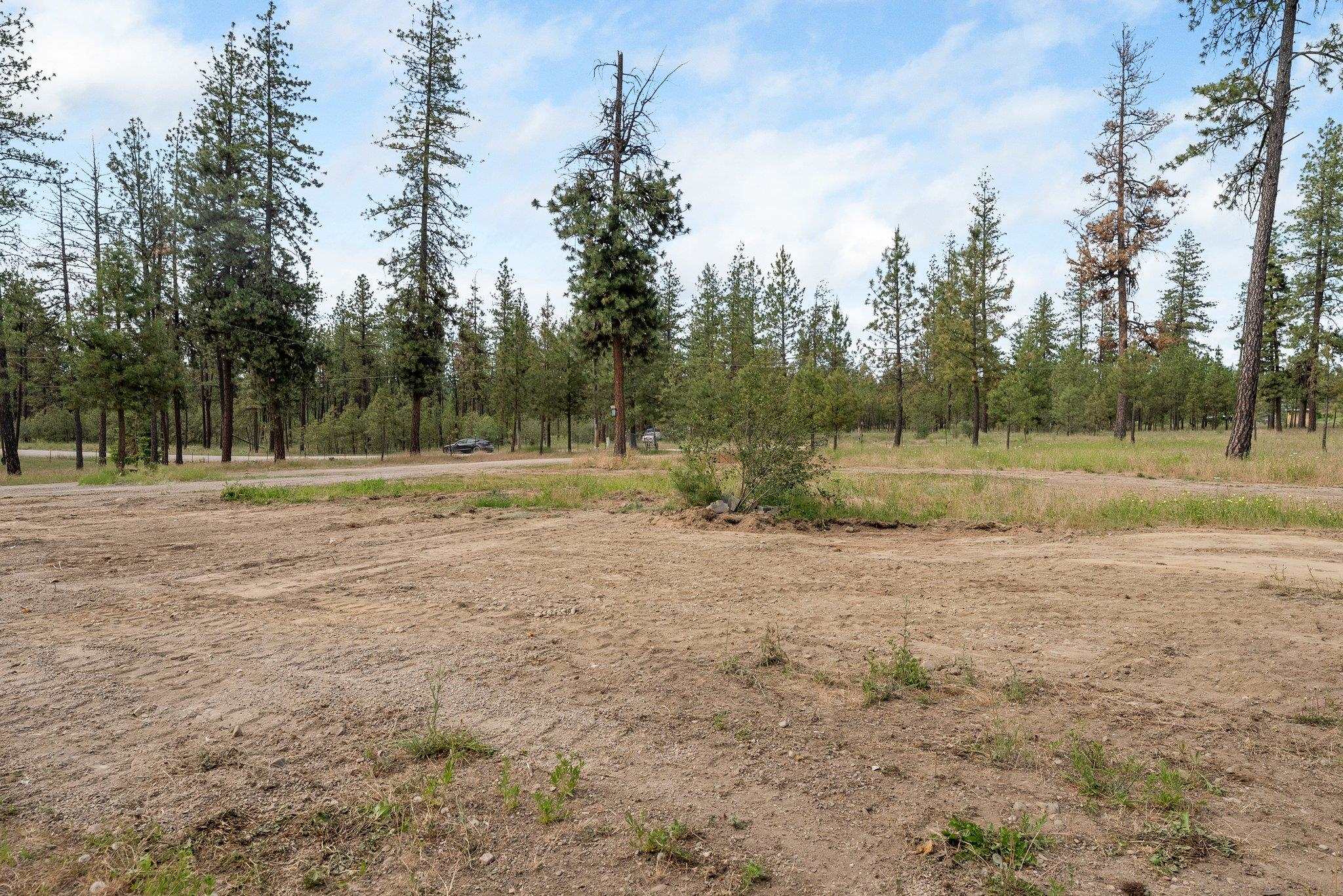 4866 Rail Canyon Road Springdale, WA 99173 - Photo 8 of 22
