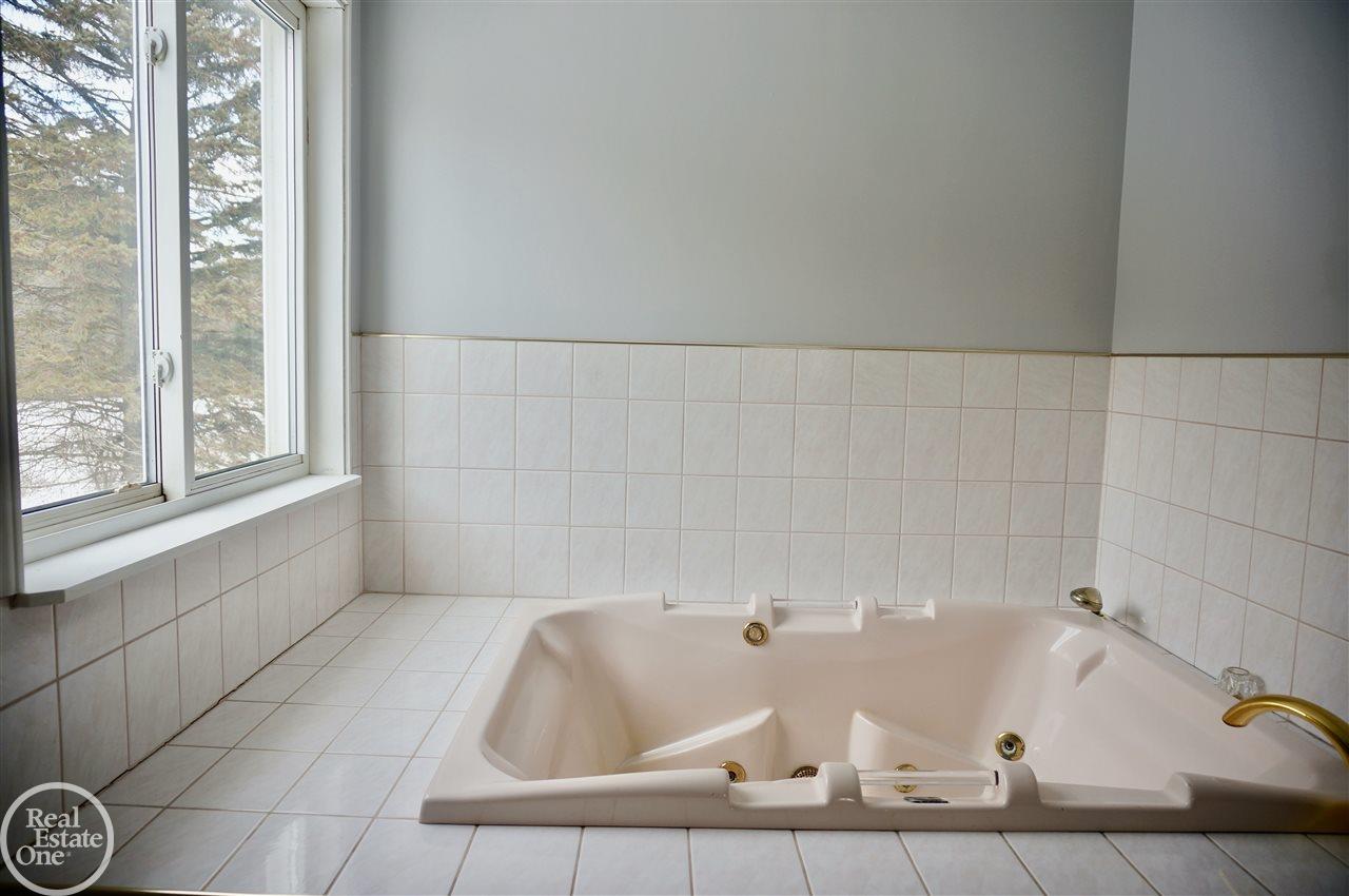 2839 Flint River Road Lapeer, MI 48446 - Photo 22 of 41 Large whirlpool tub