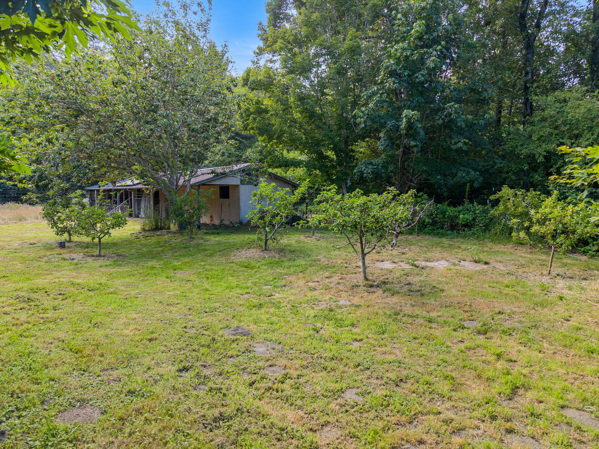 1035 Warren Creek Road Arcata, CA 95521 - Photo 45 of 61