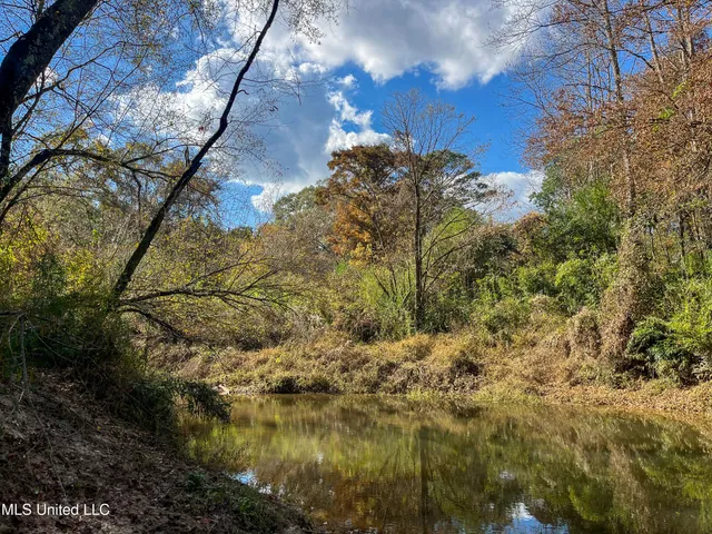 $210,080 | 80.8 Acres, Carthage, MS 39051