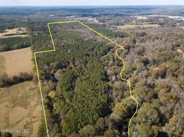 $210,080 | 80.8 Acres, Carthage, MS 39051