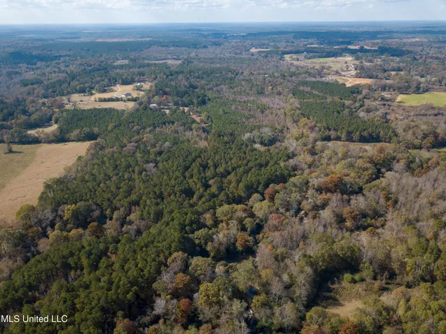$210,080 | 80.8 Acres, Carthage, MS 39051