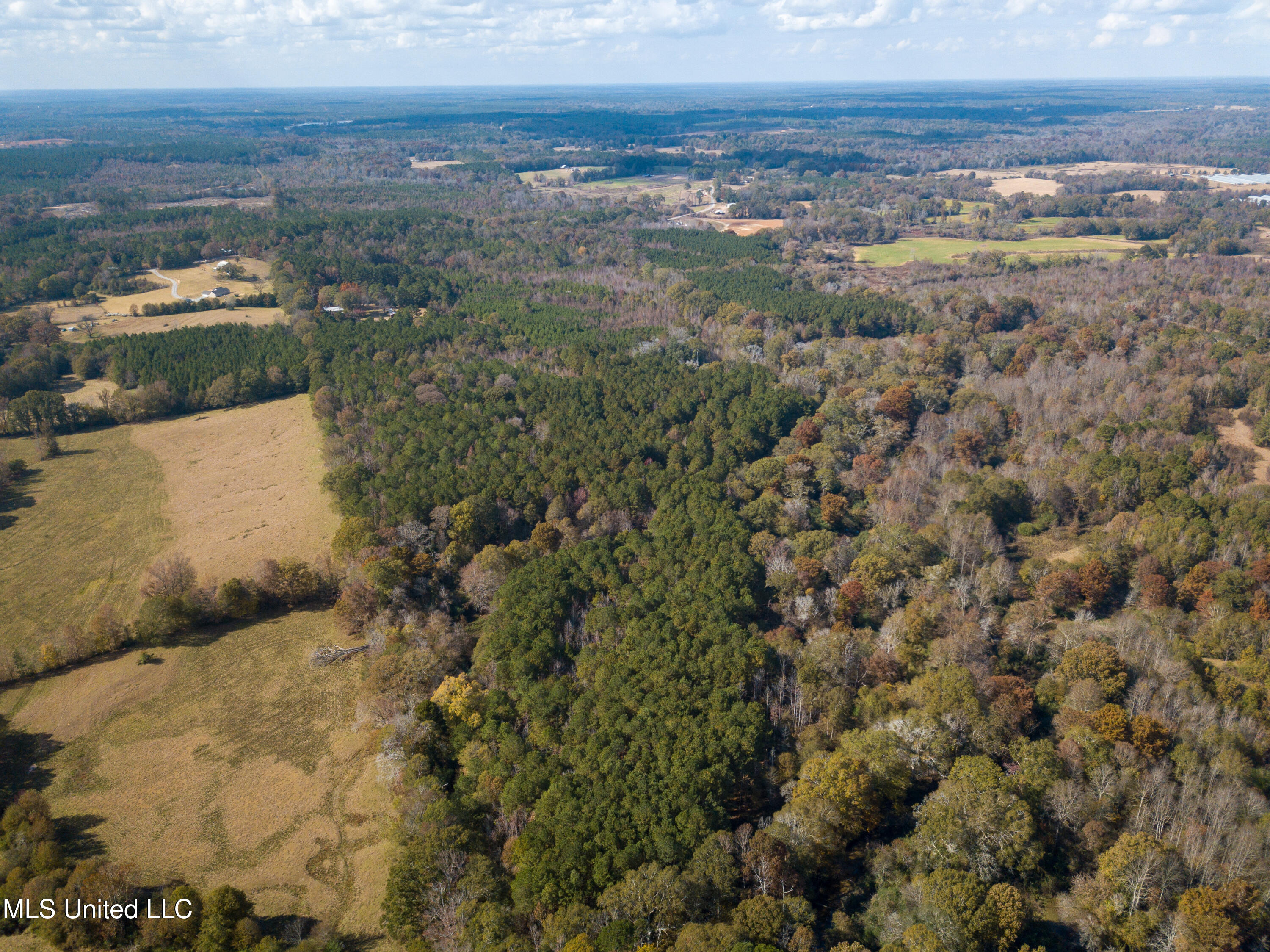 80.8 Acres Carthage, MS 39051 - Photo 13 of 68 DJI_0682