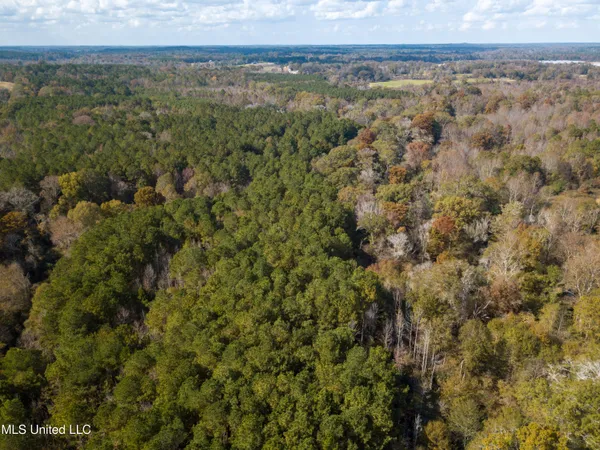 $210,080 | 80.8 Acres, Carthage, MS 39051