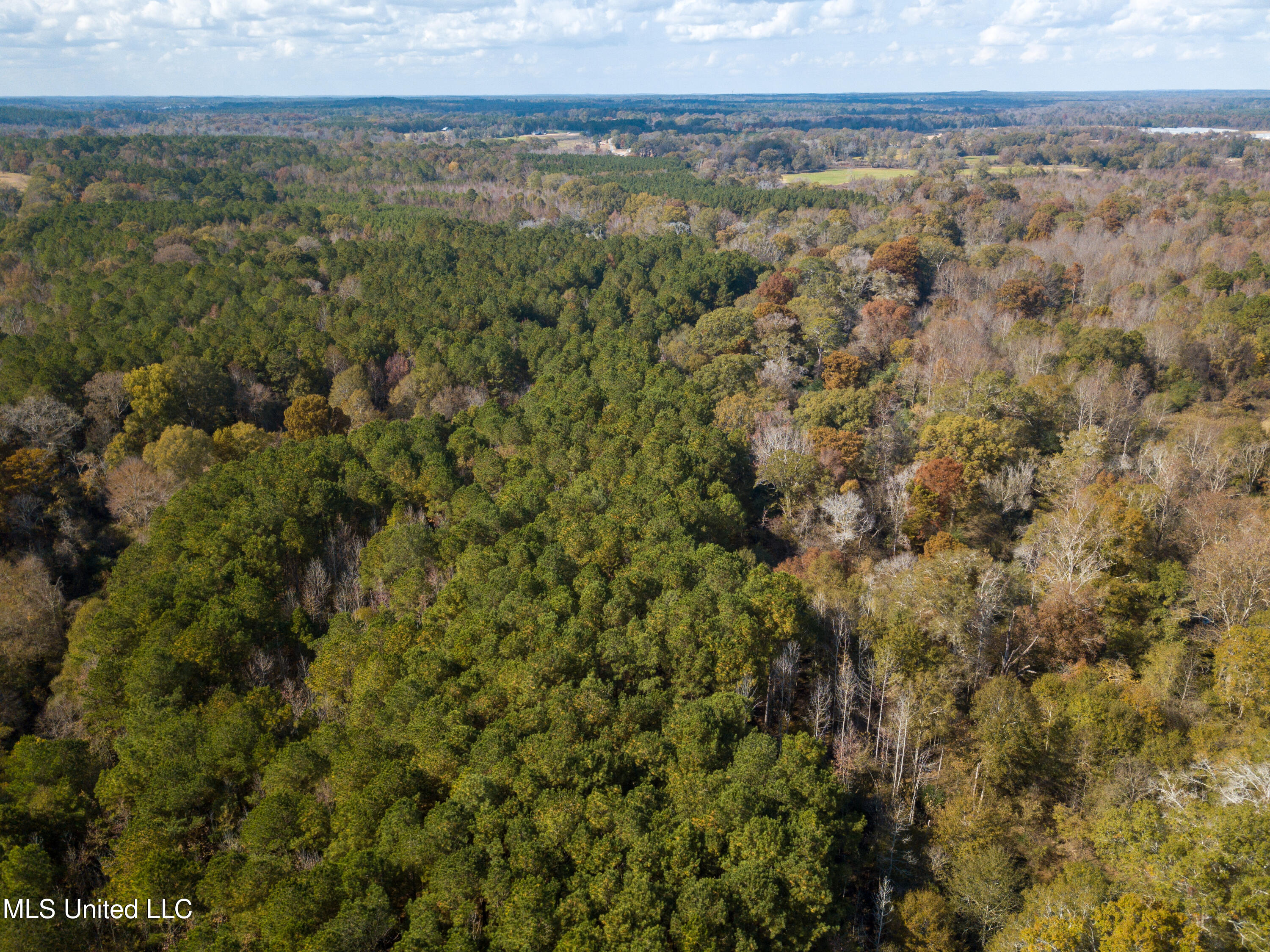 80.8 Acres Carthage, MS 39051 - Photo 15 of 68 DJI_0684