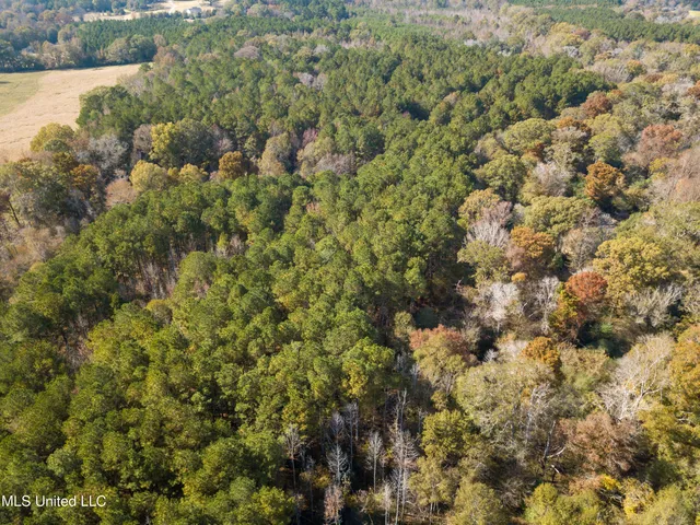 $210,080 | 80.8 Acres, Carthage, MS 39051