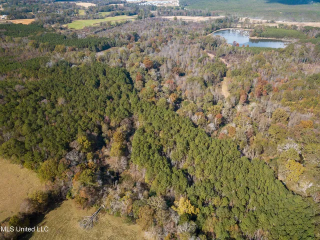 $210,080 | 80.8 Acres, Carthage, MS 39051