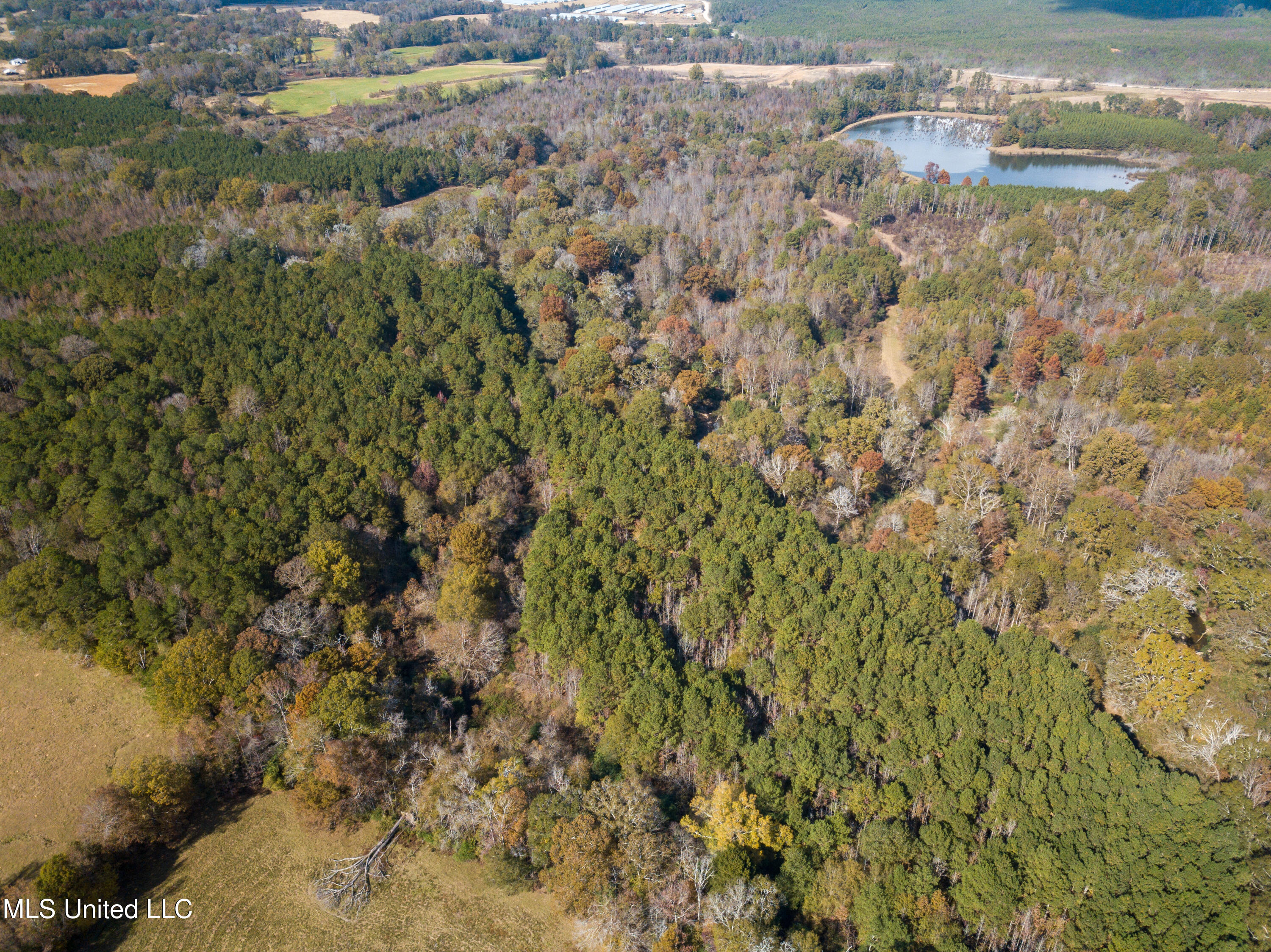 80.8 Acres Carthage, MS 39051 - Photo 20 of 68 DJI_0688