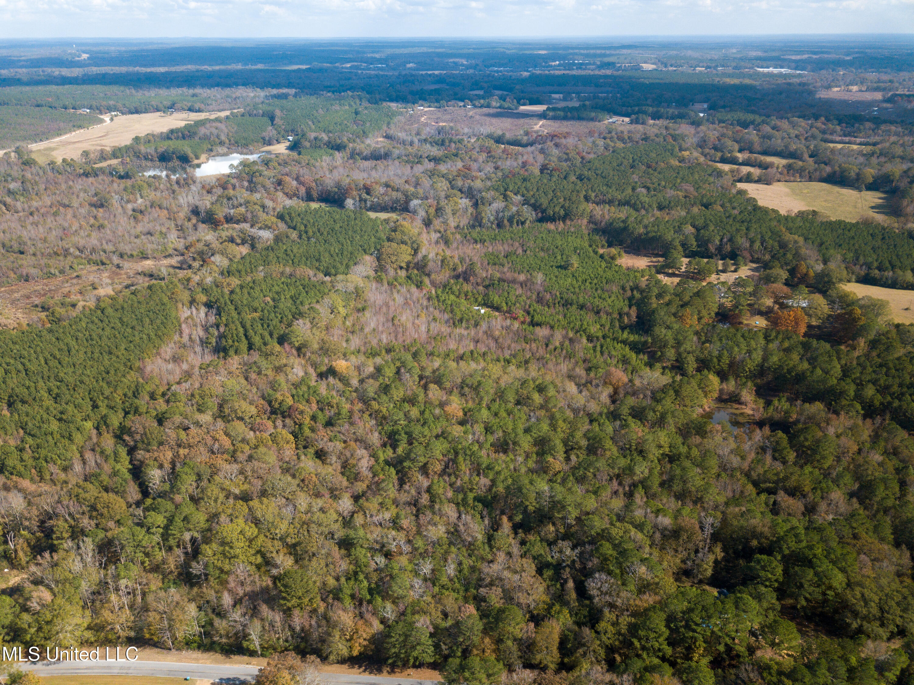 80.8 Acres Carthage, MS 39051 - Photo 2 of 68 DJI_0671