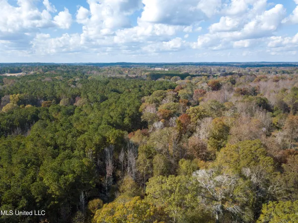 $210,080 | 80.8 Acres, Carthage, MS 39051