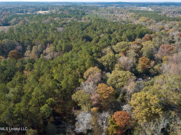 $210,080 | 80.8 Acres, Carthage, MS 39051