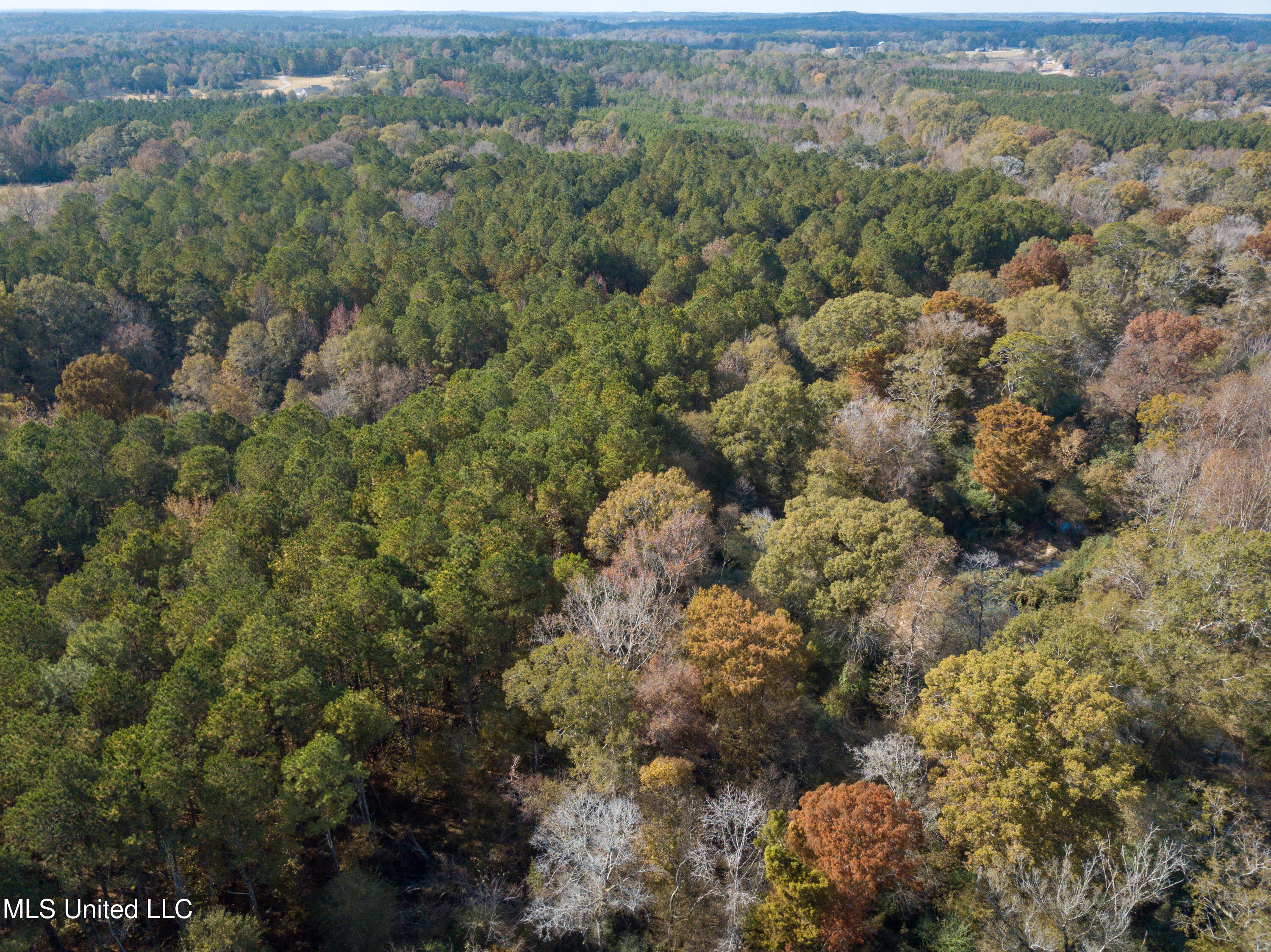 80.8 Acres Carthage, MS 39051 - Photo 25 of 68 DJI_0694