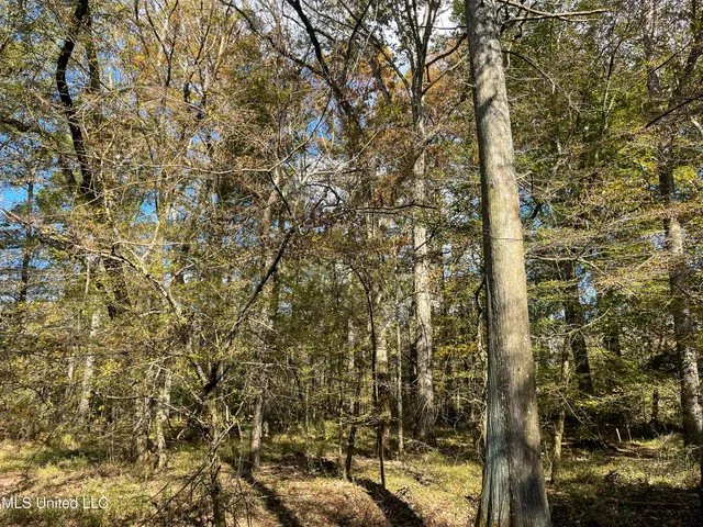 $210,080 | 80.8 Acres, Carthage, MS 39051