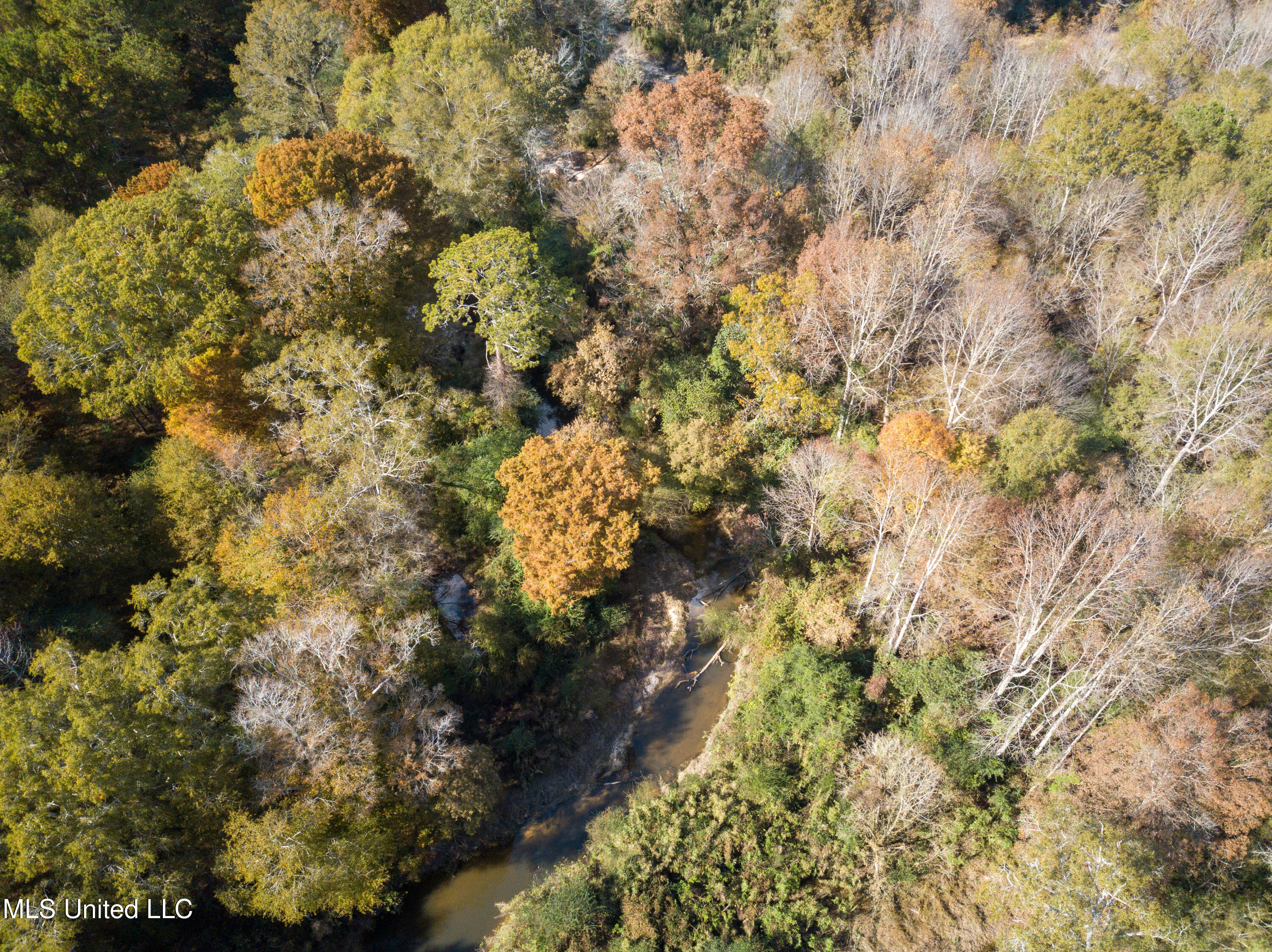 80.8 Acres Carthage, MS 39051 - Photo 27 of 68 DJI_0695