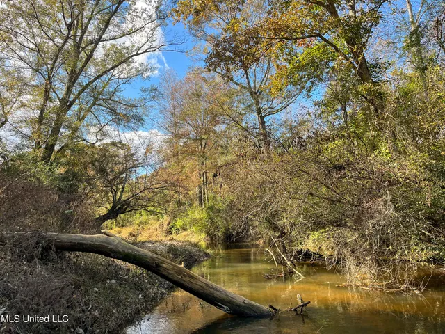 $210,080 | 80.8 Acres, Carthage, MS 39051