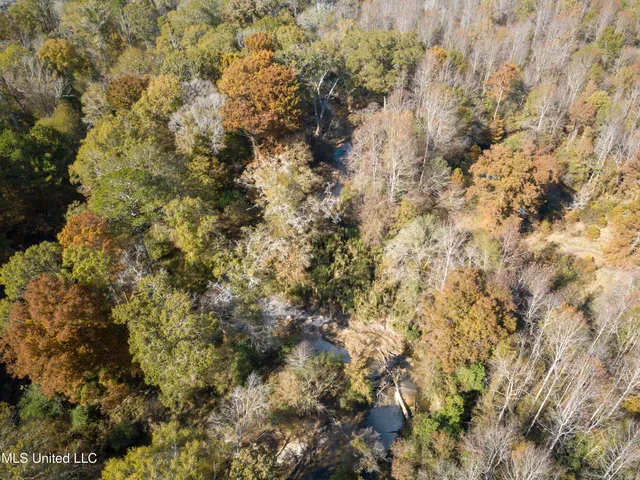 $210,080 | 80.8 Acres, Carthage, MS 39051