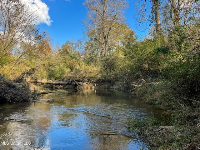 $210,080 | 80.8 Acres, Carthage, MS 39051